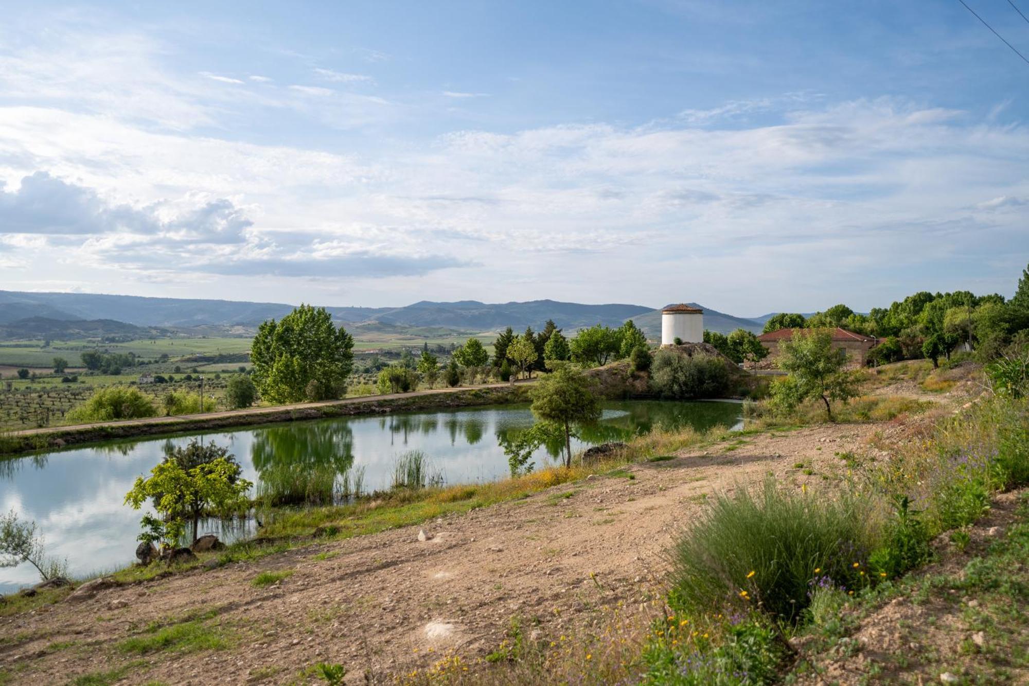 토레드몽코보 Quinta Da Terrincha 게스트하우스 외부 사진