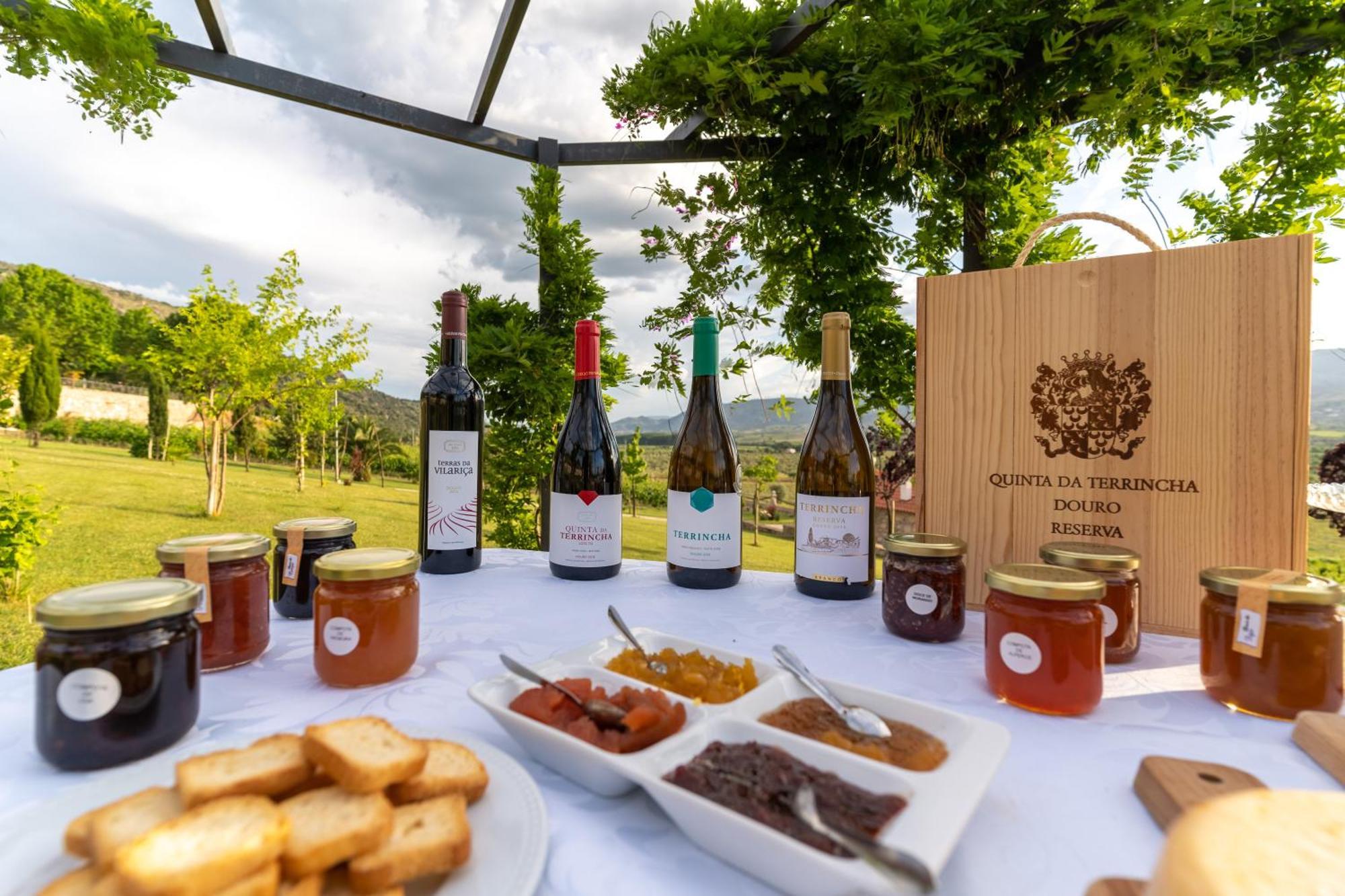 토레드몽코보 Quinta Da Terrincha 게스트하우스 외부 사진