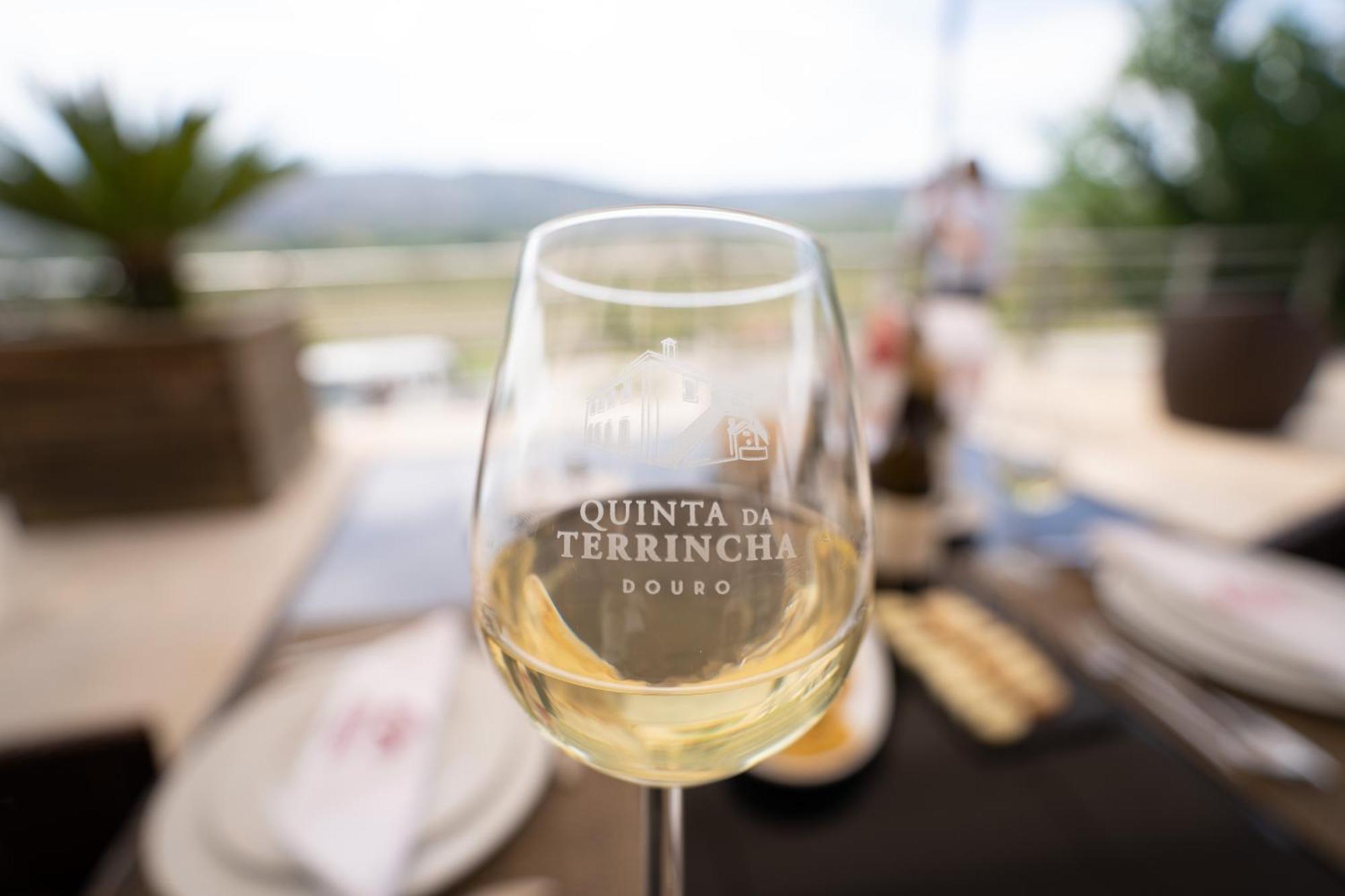 토레드몽코보 Quinta Da Terrincha 게스트하우스 외부 사진