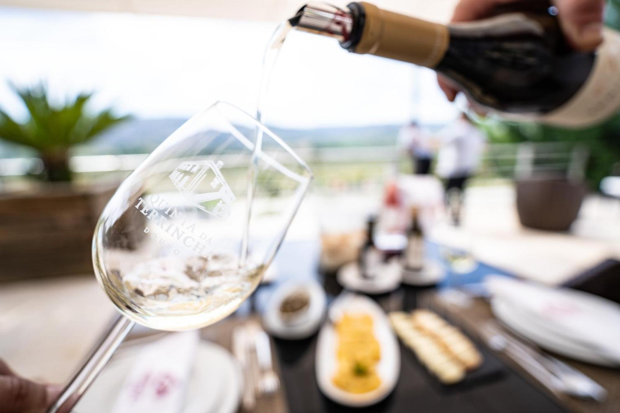 토레드몽코보 Quinta Da Terrincha 게스트하우스 외부 사진